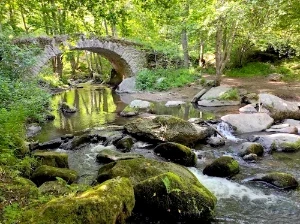 Pique nique en anciennes